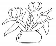 tulipe dans un vase dessin à colorier