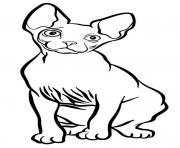 sphynx est un chat originaire du Canada et ne possede quasiment aucune fourrure dessin à colorier