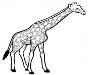 girafe mammifere de la savane africaine dessin à colorier