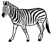 zebre espece herbivores vivant en afrique dessin à colorier