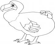 dronte oiseau dessin à colorier