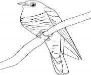 Coloriage oiseau mandala mignon de zentangle se reposant sur la branche dessin