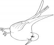 Coloriage oiseau en vol nourriture fleur dessin