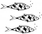 poisson Acanthomorphes a rayons epineux dessin à colorier