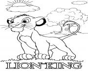 Coloriage simba la terre des lions dessin