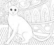 chat pour adulte antistress dessin à colorier