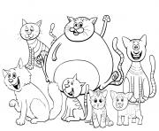 des chats et chatons de toutes tailles dessin à colorier