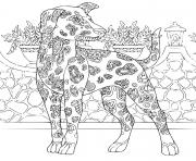 Coloriage chien du pharaon complexe antistress dessin