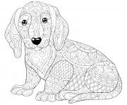 Coloriage chien mandala teckel chien saucisse dessin