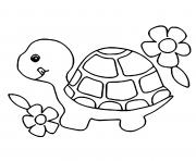 Coloriage animaux pour enfants facile tortue