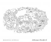 Coloriage Toucan Circle From Magical Jungle dessin