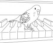 perroquet sur un piano dessin à colorier
