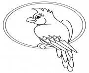 Coloriage perroquet qui deploie ses ailes dessin