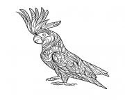 perroquet adulte zentangle antistress dessin à colorier