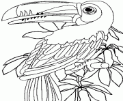 perroquet dans la jungle dessin à colorier