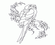perroquet sur une branche avec des fleurs dessin à colorier