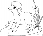 Coloriage un mouton avec une cloche autour du cou dessin