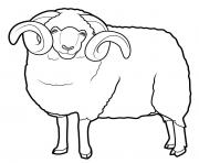 Coloriage mouton pour enfants dessin