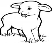 bebe mouton dessin à colorier