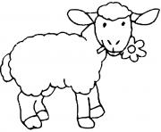 Coloriage mouton en prairie dessin