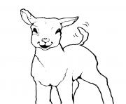 Coloriage mouton mange une fleur dessin