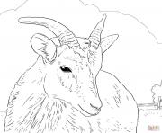 mouflon canadien de la ferme dessin à colorier