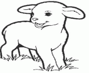 Coloriage agneau le petit mouton dessin