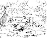 famille de loups dans un zoo parc animaux dessin à colorier