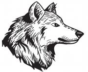 Coloriage loup gris realiste dessin