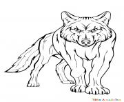 loup apercoit une proie dessin à colorier