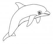 dauphin animal aquatique dessin à colorier