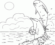 Coloriage apprendre comment dessiner dauphin dessin