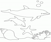 dauphins et coquillages dessin à colorier