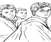 Coloriage Harry Potter et ses amis dessin