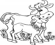 la maman vache avec son petit veau dessin à colorier