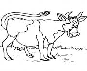 Coloriage vache lait ferme herbes plantes dessin