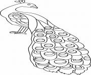 Coloriage paon facile oiseau dessin