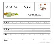 lettre U pour Unau ecriture cursive gs dessin à colorier