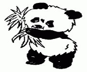 Coloriage panda mange une branche dessin