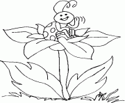 Coloriage coccinelle assise sur une fleur dessin