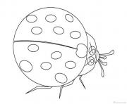 Coloriage jolie insecte coccinelle maternelle facile dessin