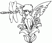 Coloriage libellule insecte dessin