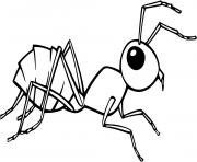 Coloriage fourmi vue du haut dessin
