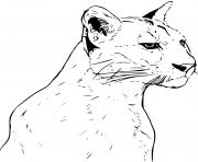 Coloriage puma animal realiste dessin
