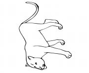 Coloriage puma concolor grand chat nord et sud amerique dessin