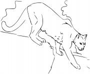 puma le cougar de montagne dessin à colorier