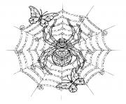 Coloriage araignee mandala pour relaxer dessin