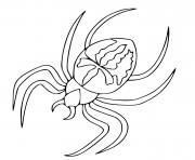 Coloriage araignee Spinning insecte dessin