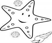 etoile de mer et coquillages de mer dessin à colorier