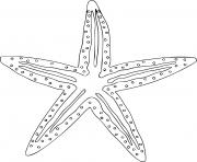 Coloriage etoile de mer animal marin en forme detoile dessin